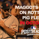 Illustration for article titled Disturbing MLB Postseason Commercial Claims October Is When The Maggots Feast On Rotting Pig Flesh
